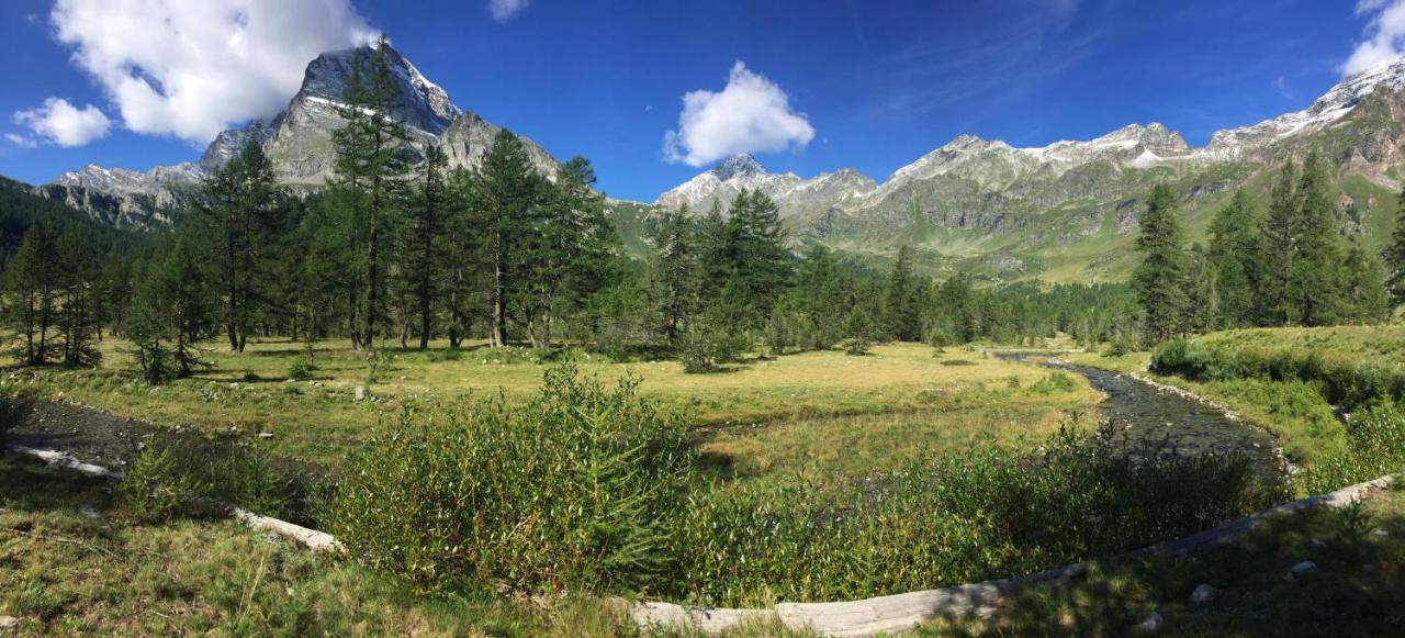 Casa Vacanza In Tipico Chalet Di Montagna Villa Варцо Екстериор снимка