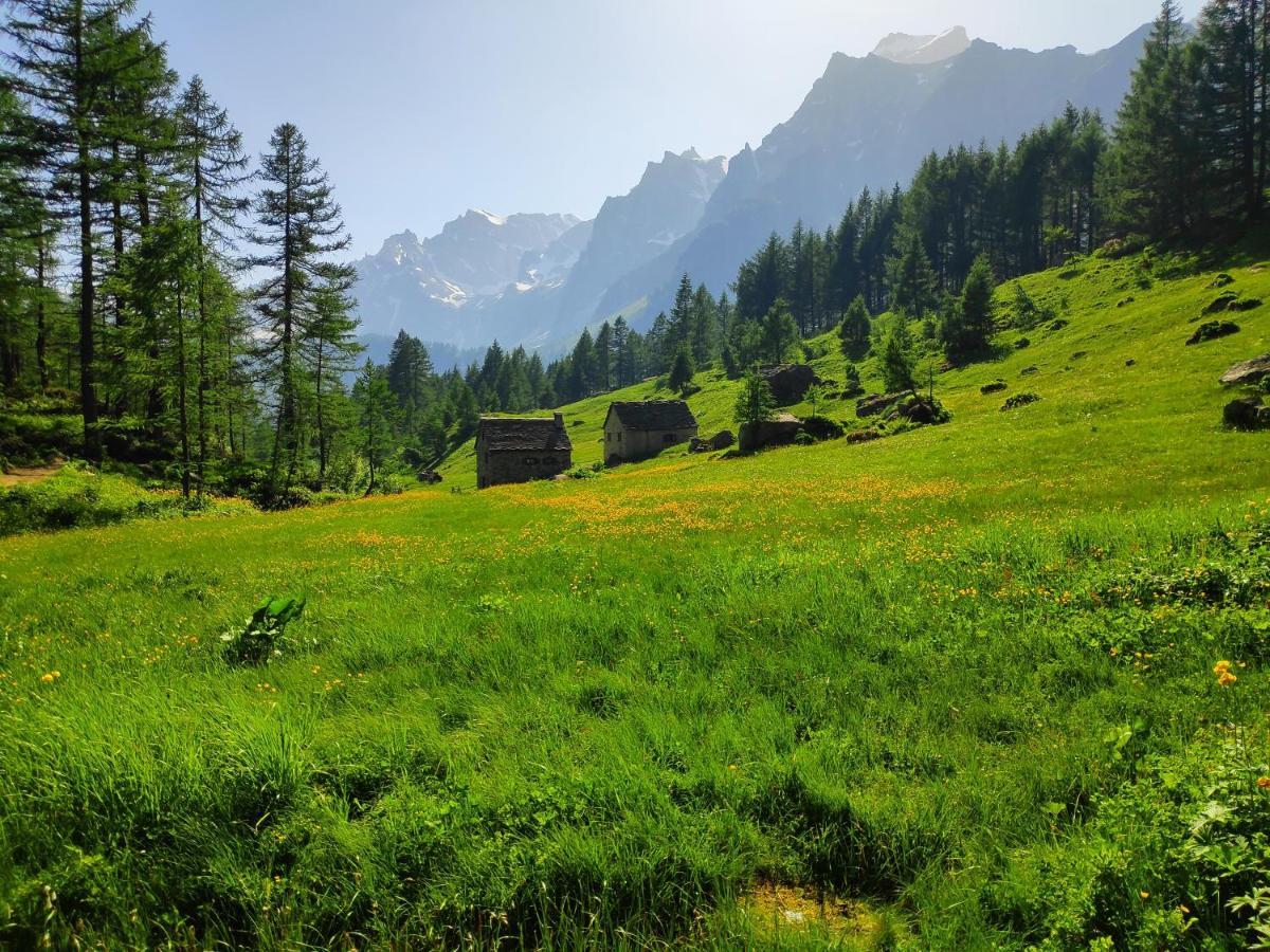 Casa Vacanza In Tipico Chalet Di Montagna Villa Варцо Екстериор снимка